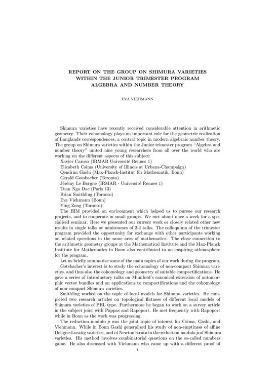 Report TP_2010_01.pdf