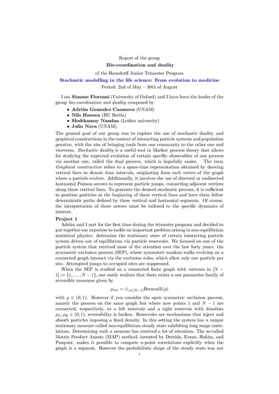 report_Floreani.pdf