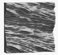 TP_2025_01