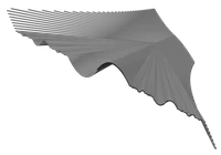 1-TP-2025_School_Bild_surfaceCantor.png